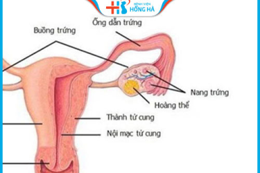 THANH TÂM