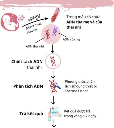 THANH TÂM